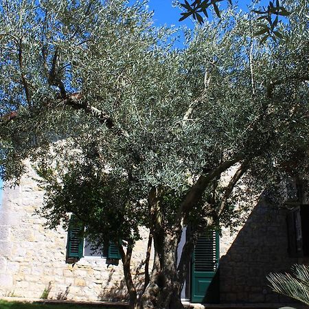 Appartamento Le Tre Palme Frigintini エクステリア 写真
